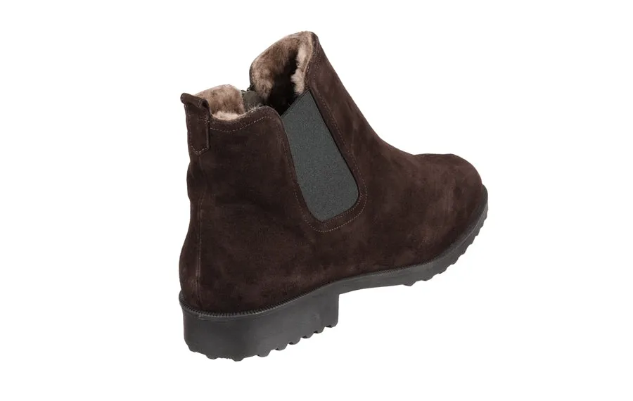 Br Bear Brown